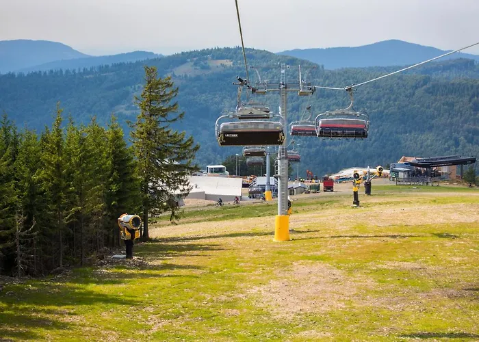 Marron * שצ'צ'ירק