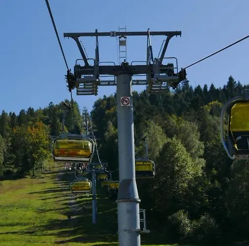 Marron שצ'צ'ירק