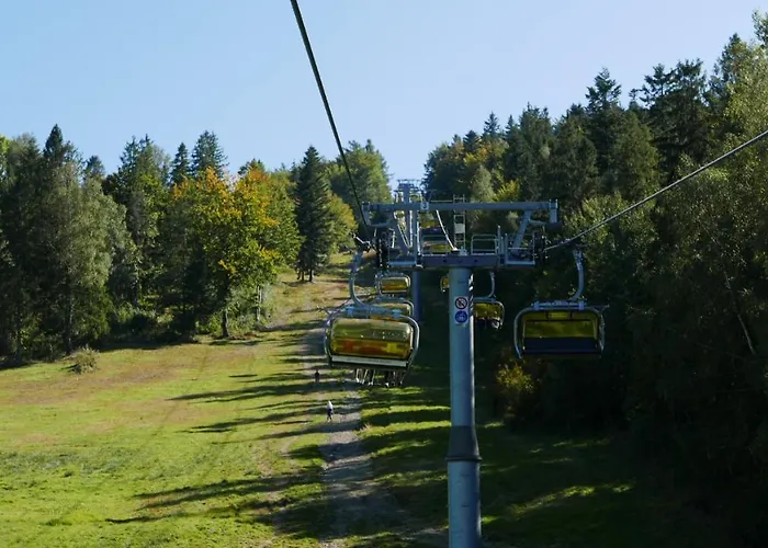 Marron * שצ'צ'ירק