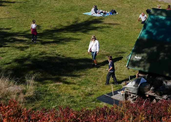 Marron * שצ'צ'ירק