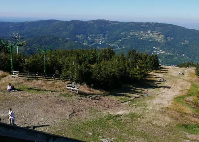 Marron * שצ'צ'ירק