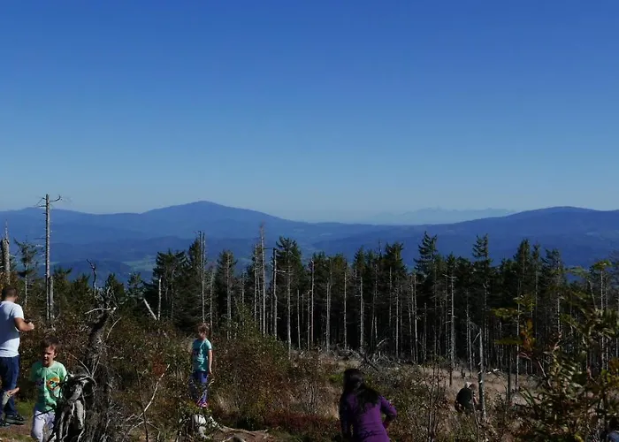 דירה Marron שצ'צ'ירק